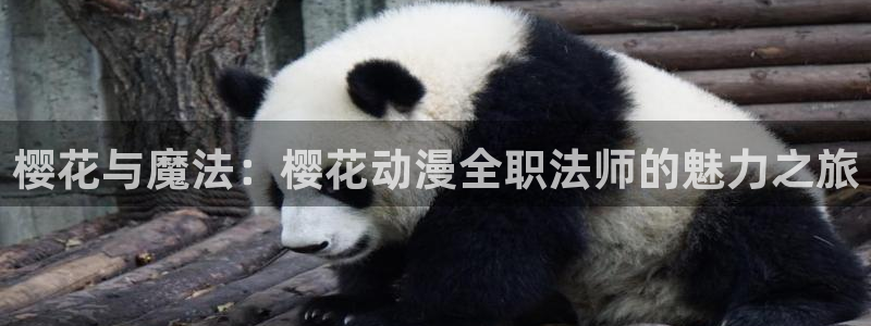 omofun免费正版下载：樱花与魔法：樱花动漫全职法师的魅力之旅