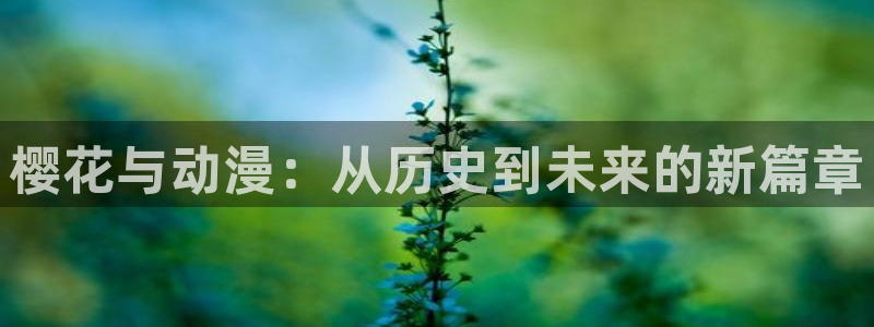 omofun下载入口：樱花与动漫：从历史到未来的新篇章