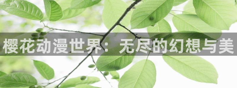 贝勒漫画免费下载：樱花动漫世界：无尽的幻想与美