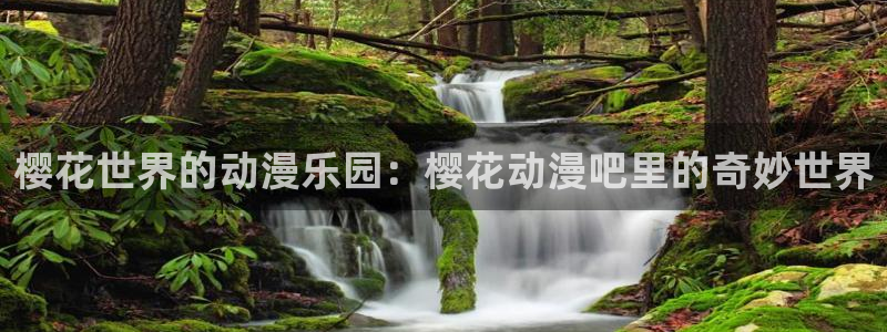 omofun下载的视频在哪：樱花世界的动漫乐园：樱花动漫吧里的奇妙世界