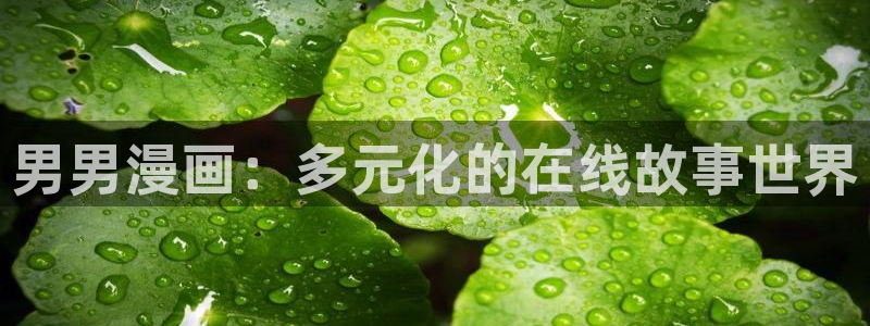 omofun动漫视频：男男漫画：多元化的在线故事世界