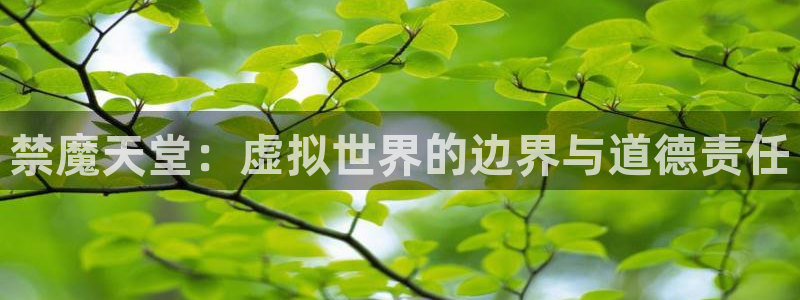 贝勒漫画网页版：禁魔天堂：虚拟世界的边界与道德责任