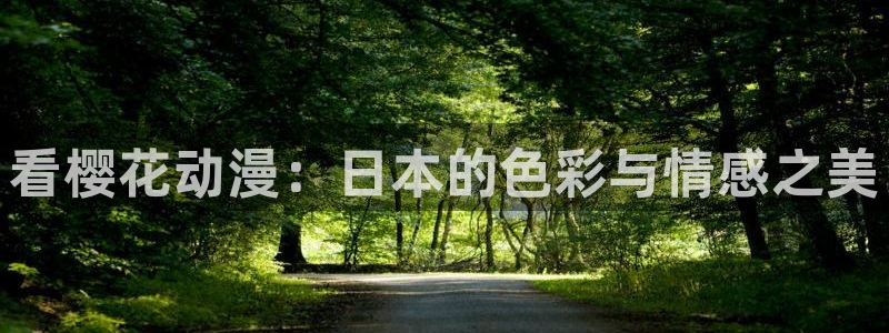 omofun最新版本：看樱花动漫：日本的色彩与情感之美