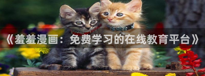 omofun 宕卧：《羞羞漫画：免费学习的在线教育平台》