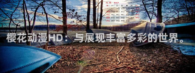 omofun 比较好用