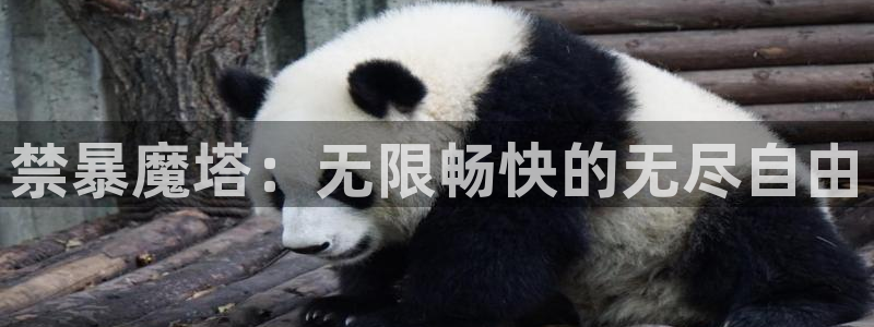 omofun动漫下载最新：禁暴魔塔：无限畅快的无尽自由