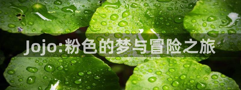omofun网页：Jojo:粉色的梦与冒险之旅