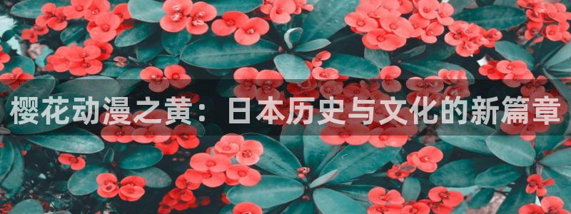 omofun动漫网页：樱花动漫之黄：日本历史与文化的新篇章