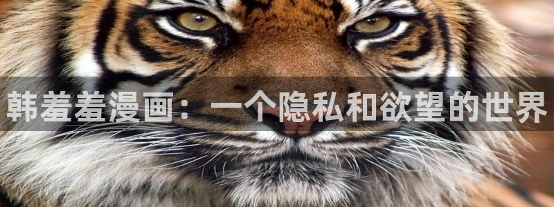 omofun永久发布页：韩羞羞漫画：一个隐私和欲望的世界