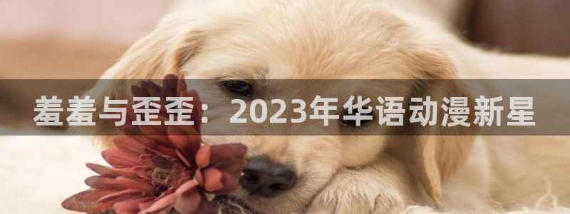 omofun宕卧：羞羞与歪歪：2023年华语动漫新星