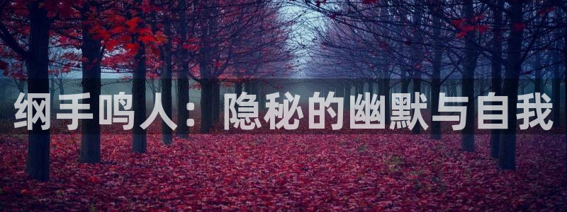 omofun电脑网页版