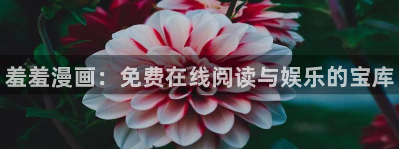 动漫共和国(omofun)官网下载：羞羞漫画：免费在线阅读与娱乐的宝库