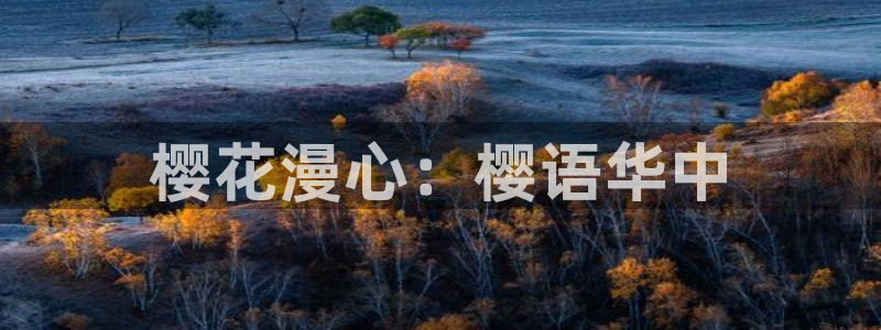 omofun更新