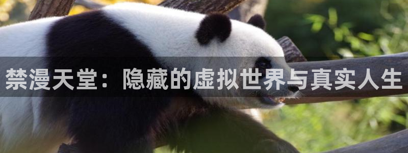下载omofun动漫：禁漫天堂：隐藏的虚拟世界与真实人生