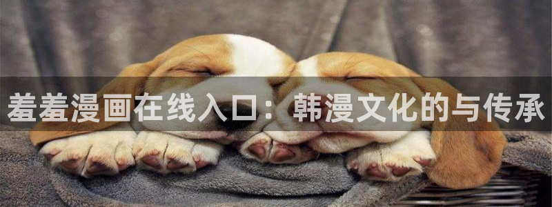 omofun网址：羞羞漫画在线入口：韩漫文化的与传承