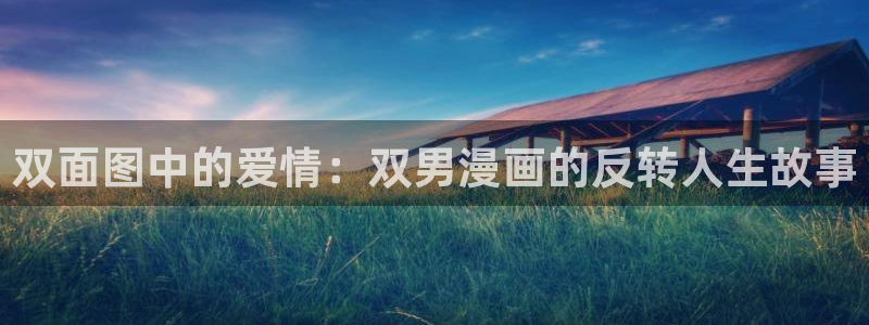 omofun下载无广告版：双面图中的爱情：双男漫画的反转人生故事